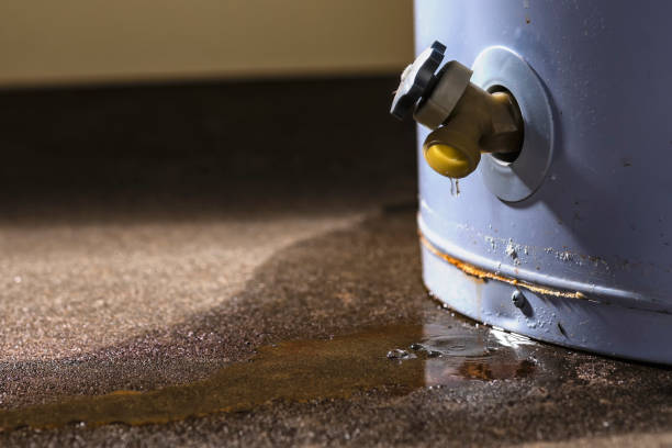 Best Carpet water damage restoration  in College Park, MD