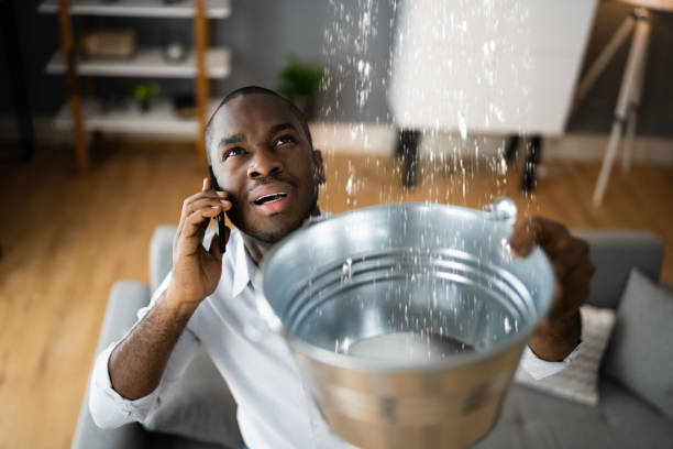 Best Water damage restoration company  in College Park, MD