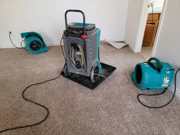 Best Flood restoration services  in College Park, MD