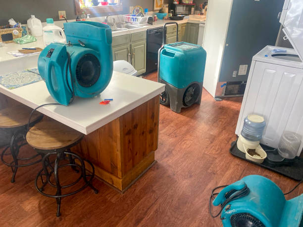 Best Water damage cleanup near me  in College Park, MD
