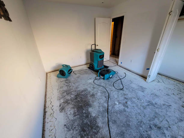 Best Water damage restoration insurance claims  in College Park, MD