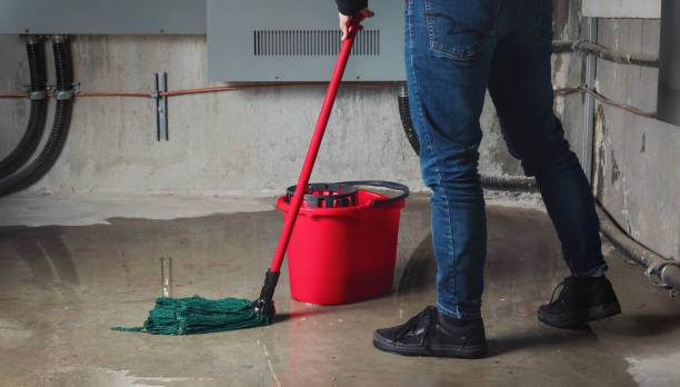 Best Local water damage restoration  in College Park, MD