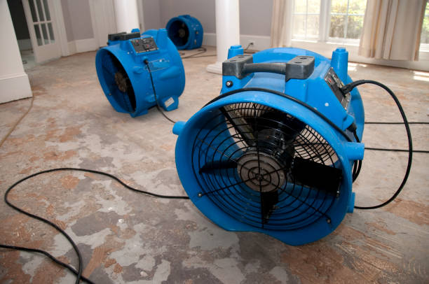 Best Water damage restoration near me  in College Park, MD