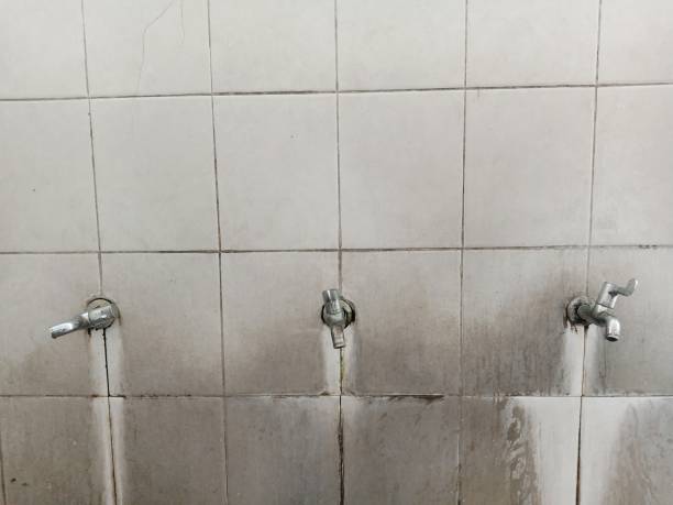 Best Carpet water damage restoration  in College Park, MD