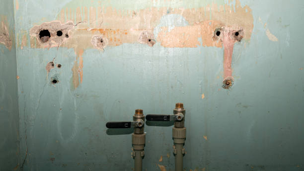 Best 24-hour water damage restoration  in College Park, MD