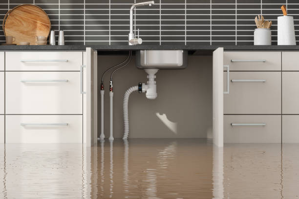 Best Flooded house restoration  in College Park, MD