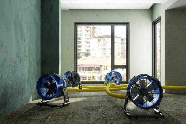 Best Flood damage cleanup  in College Park, MD
